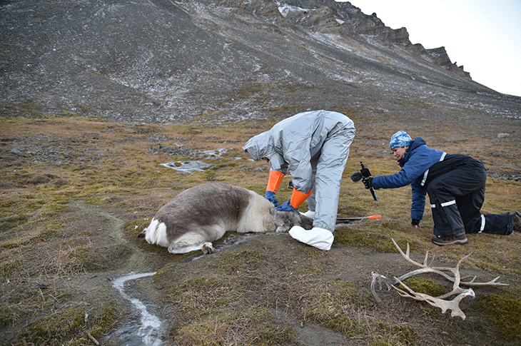 Det ble gjort filmopptak underveis av kommunikasjonsenheten fra Veterinærinstituttet. Dette skal redigeres til en informasjonsfilm og gjøres tilgjengelig for bruk av Sysselmesterens personale og andre som skal gjøre lignende uttak i felt. 