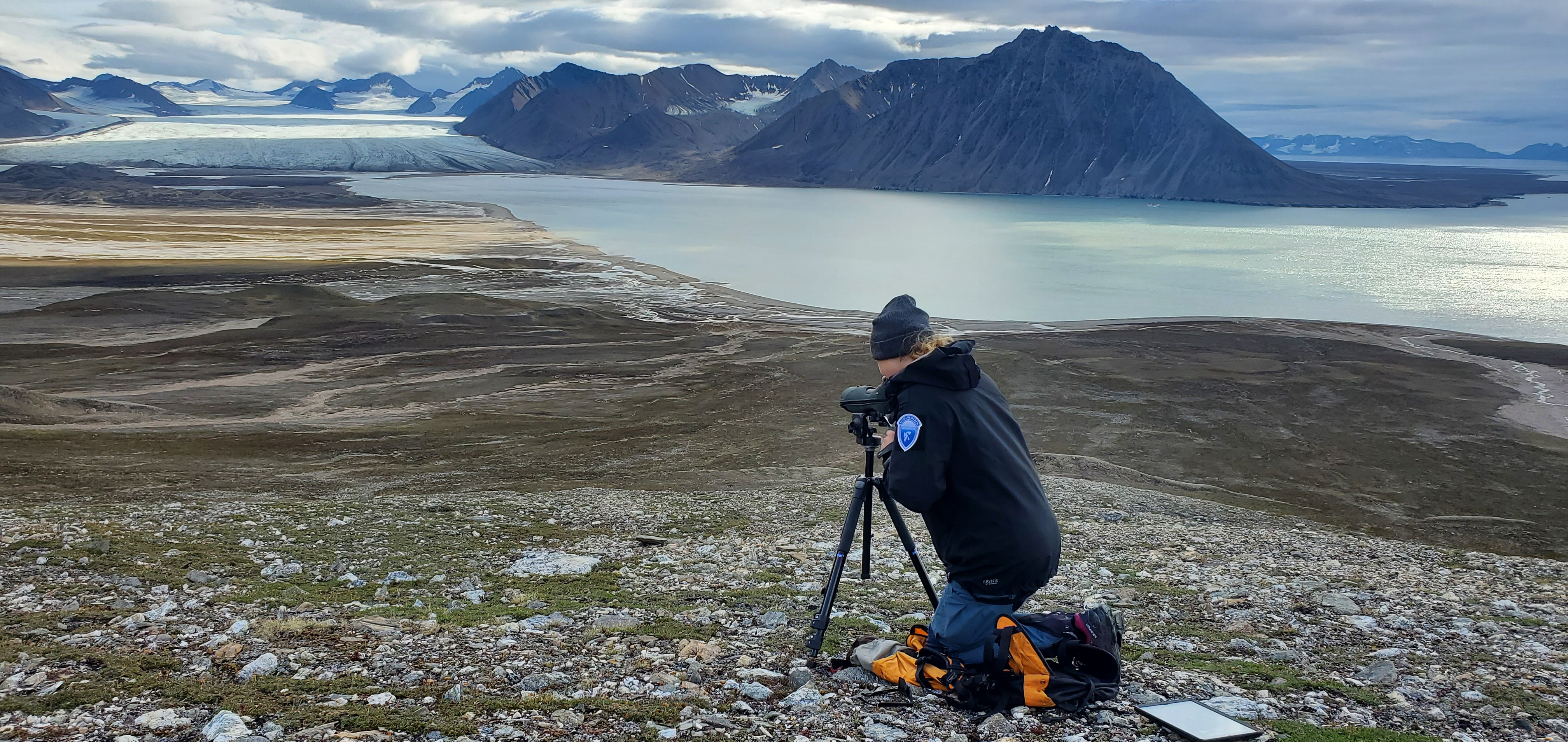 Feltinspektør på utkikk etter fjellrev i Engelskbukta i Forlandsundet på Svalbard.